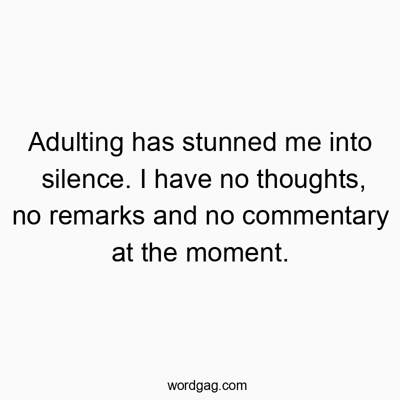 Adulting has stunned me into silence. I have no thoughts, no remarks and no commentary at the moment.