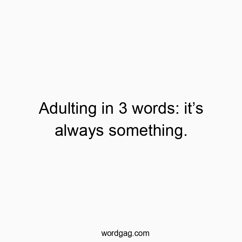 Adulting in 3 words: it’s always something.