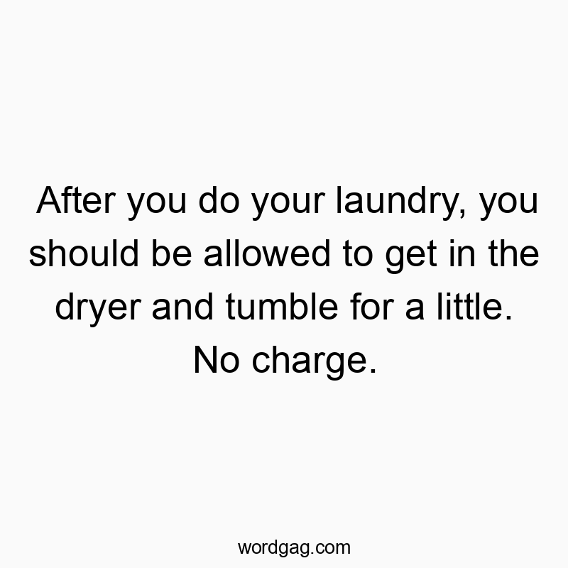 203 Funny little quotes - After you do your laundry, you should be allowed to get inβ¦