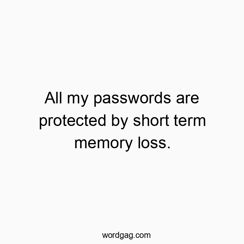 All my passwords are protected by short term memory loss.