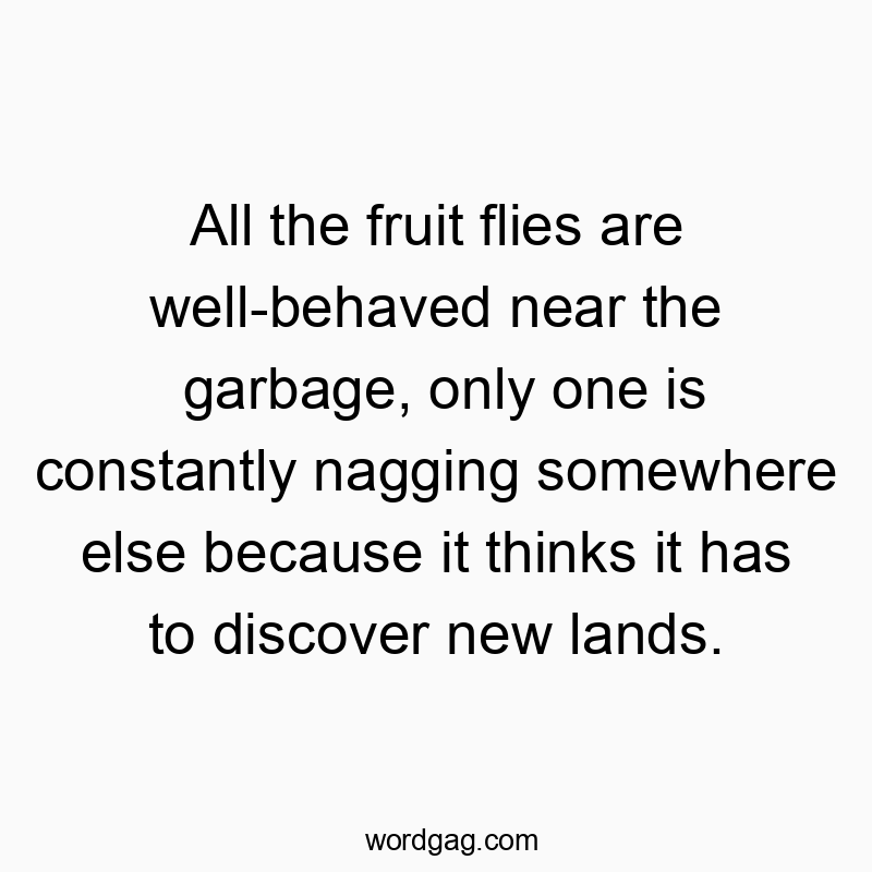 All the fruit flies are well-behaved near the garbage, only…