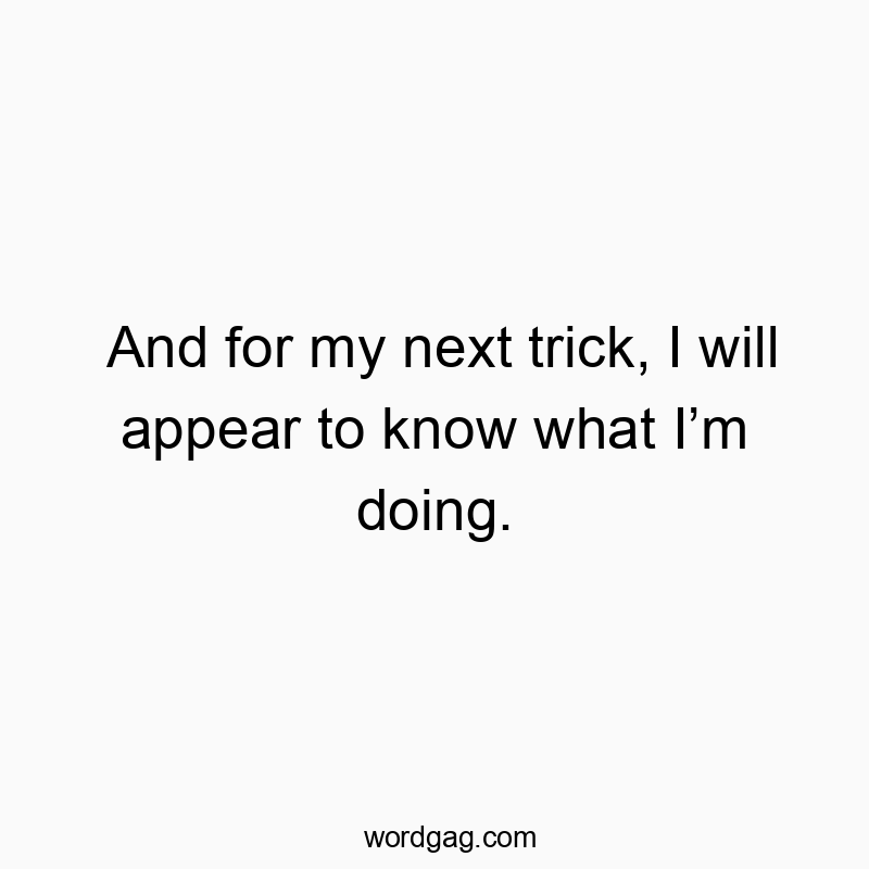 Funny know quotes - And for my next trick, I will appear to know what I’m doing.