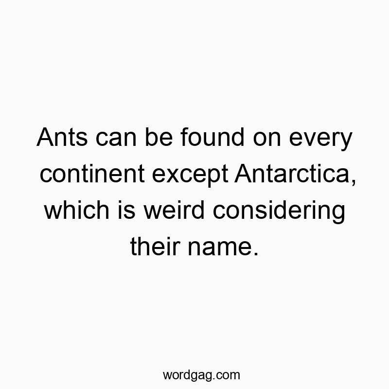 Ants can be found on every continent except Antarctica, which is weird considering their name.