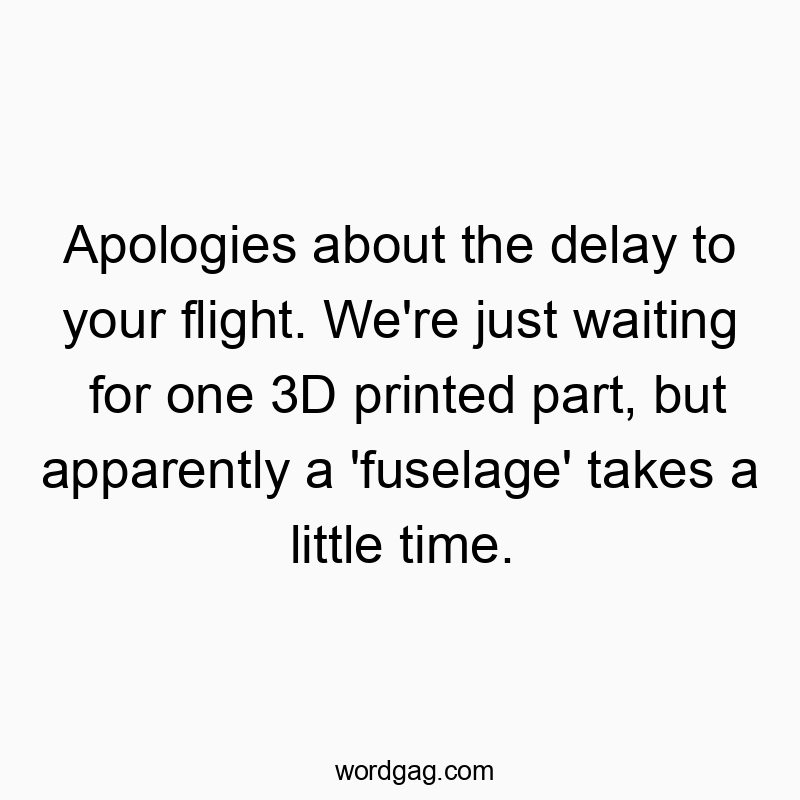 Apologies about the delay to your flight. We’re just…