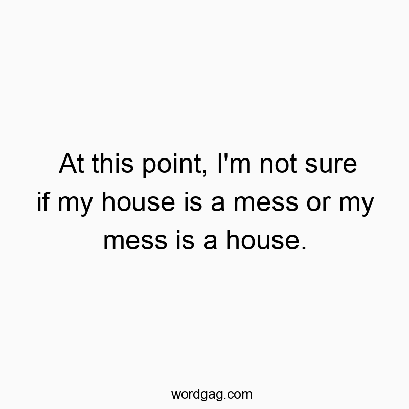 At this point, I’m not sure if my house is a mess or my mess is a house.