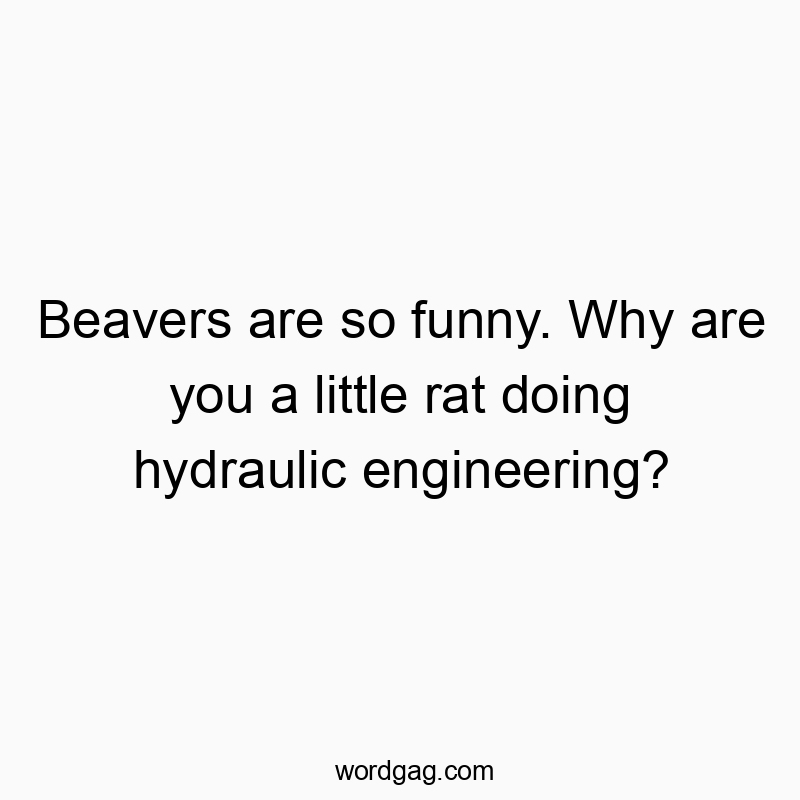 Funny hydraulic engineering quotes - Beavers are so funny. Why are you a little rat doing hydraulic engineering?