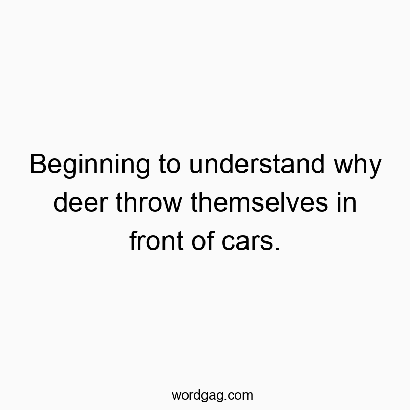Funny deer quotes - Beginning to understand why deer throw themselves in front of cars.