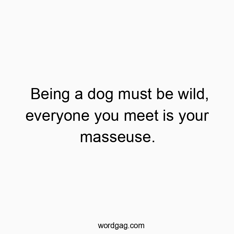 Playful quote about dogs' relaxed life, suggesting everyone they meet gives a massage.