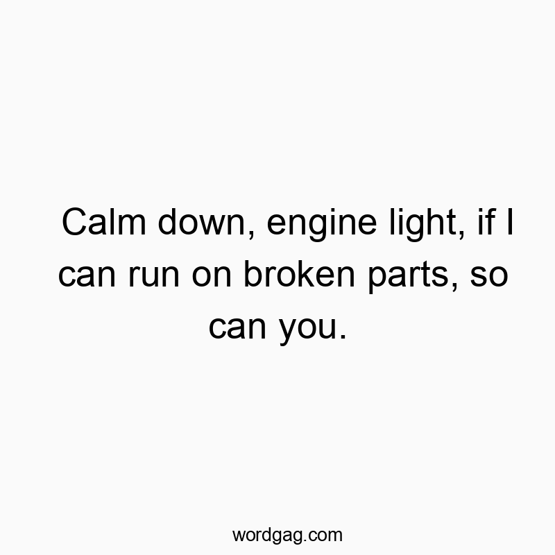 Calm down, engine light, if I can run on broken parts, so can you.
