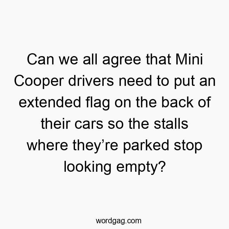 Playful text suggesting Mini Cooper drivers should add flags to fill parking stalls.