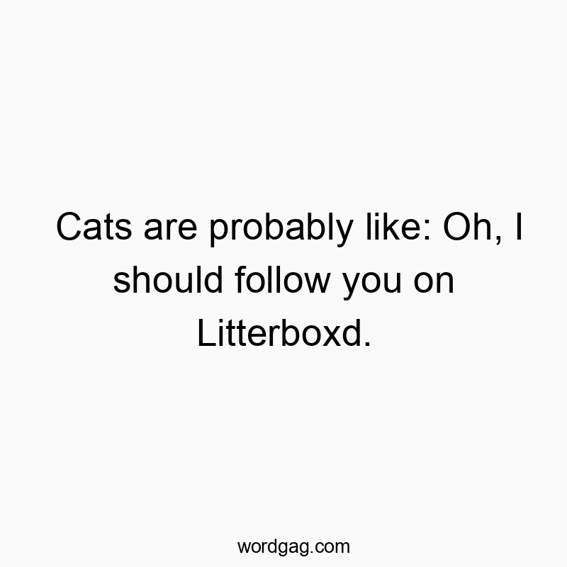 Cats are probably like: Oh, I should follow you on Litterboxd.