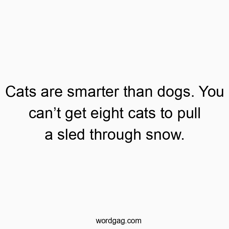 Cats are smarter than dogs. You canโt get eight cats to pull a sled through snow.