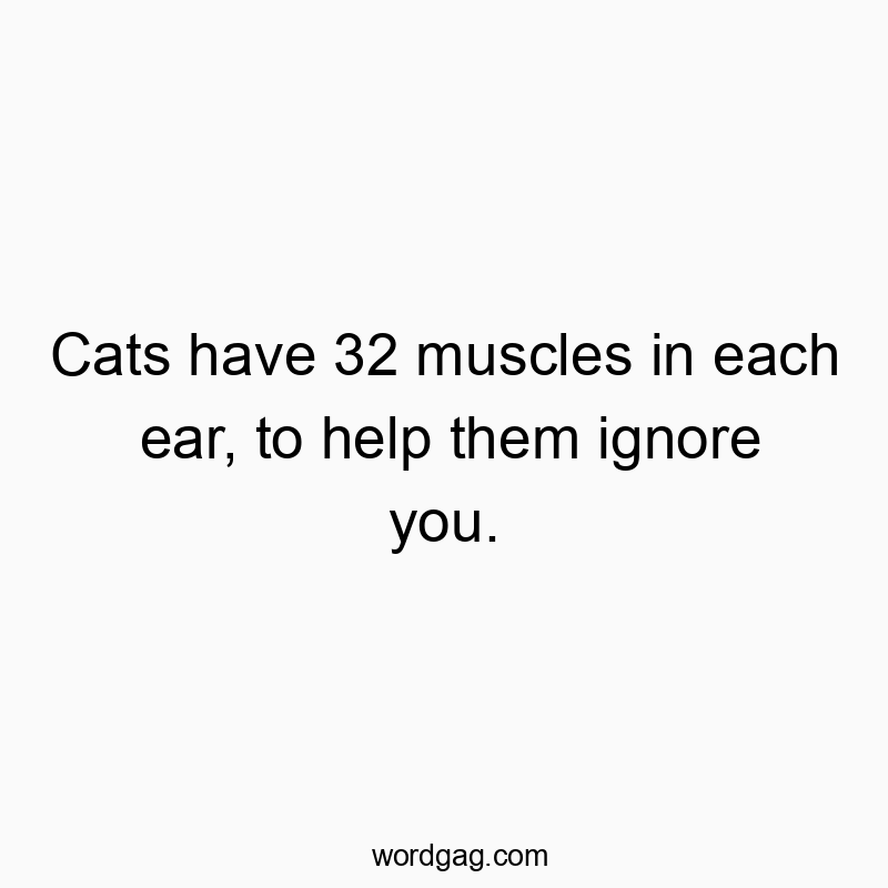 Cats have 32 muscles in each ear, to help them ignore you.