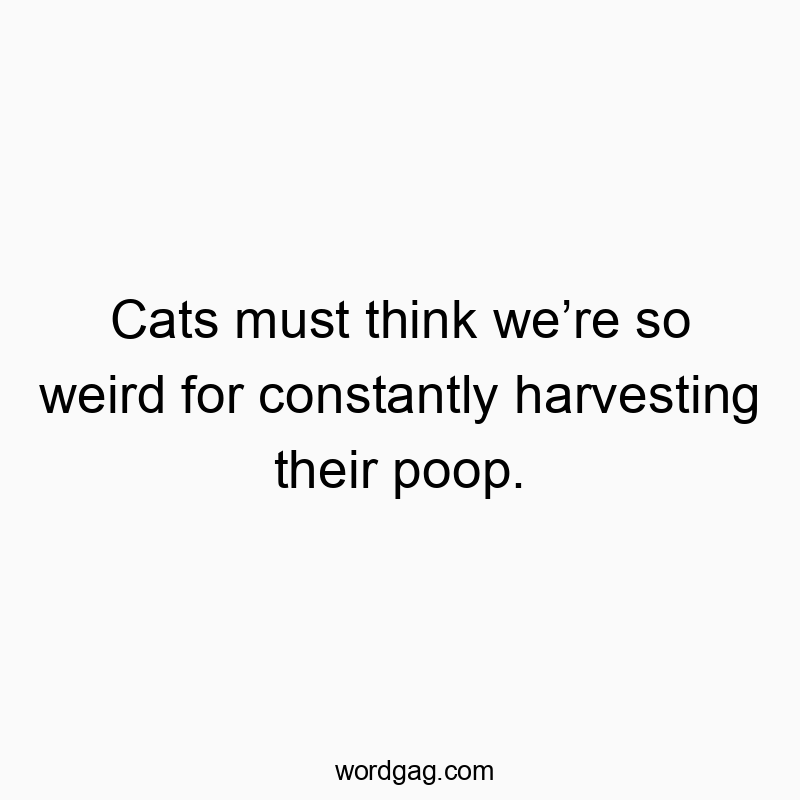 Cats must think weโre so weird for constantly harvesting their poop.