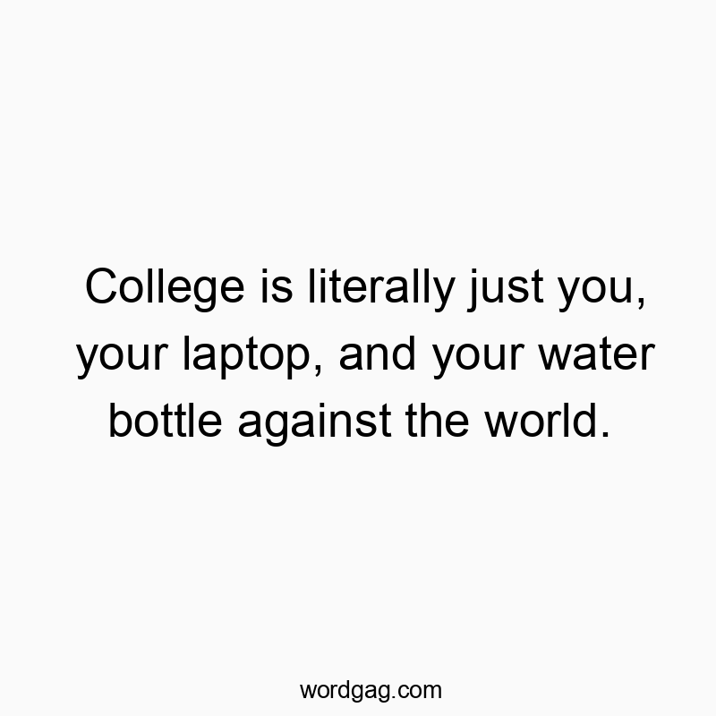 College is literally just you, your laptop, and your water bottle against the world.