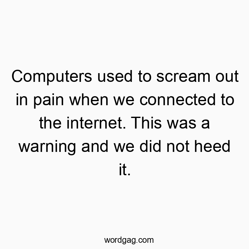 Computers used to scream out in pain when we connected to the internet. This was a warning and we did not heed it.