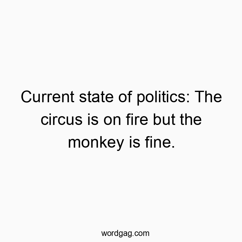 Current state of politics: The circus is on fire but the monkey is fine.
