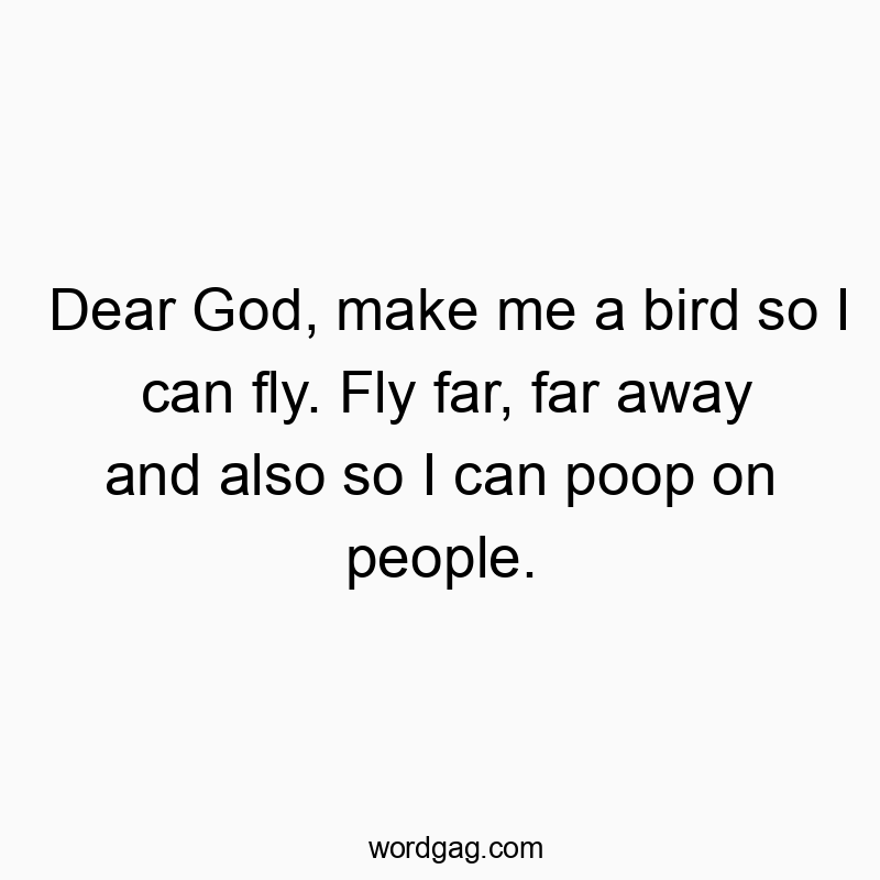 Dear God, make me a bird so I can fly. Fly far, far away and also so I can poop on people.