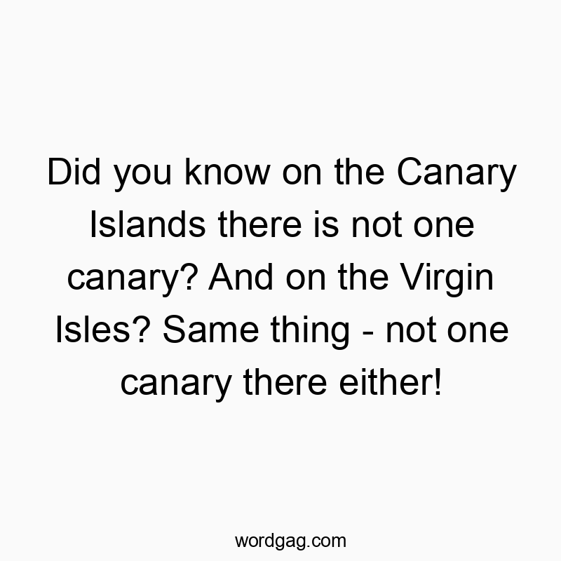 Did you know on the Canary Islands there is not one canary? And on the Virgin Isles? Same thing – not one canary there either!