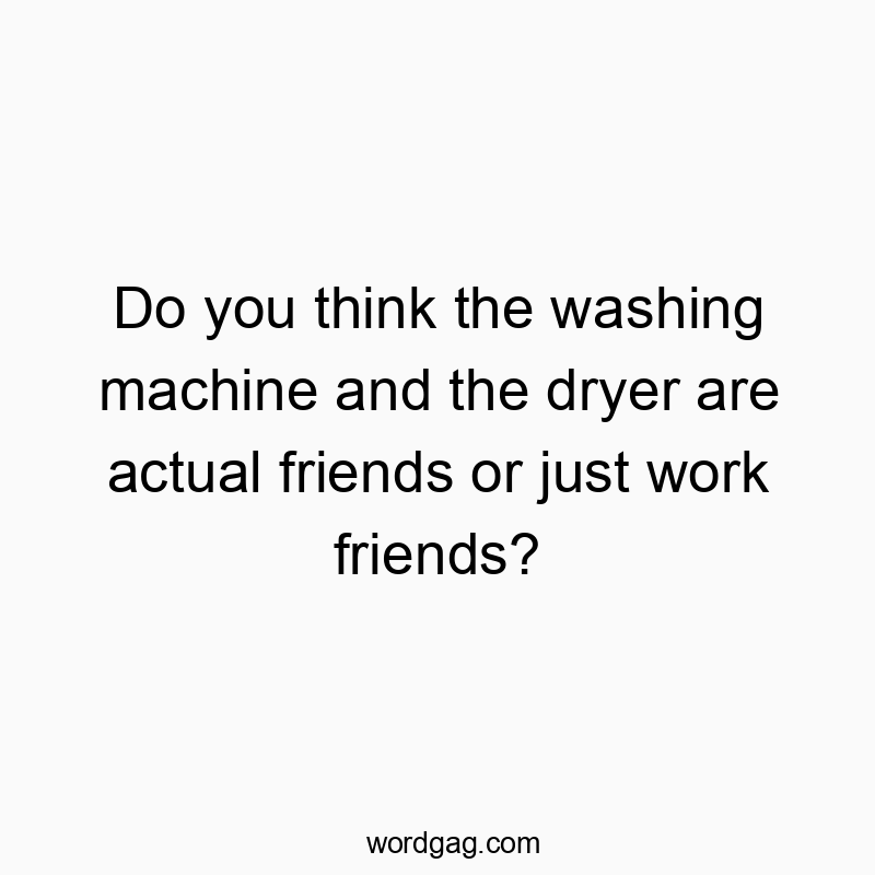 Do you think the washing machine and the dryer are actual friends or just work friends?