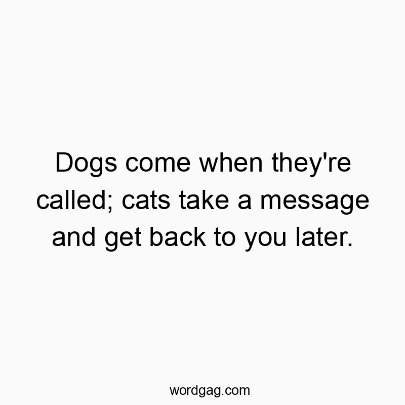 Dogs come when they’re called; cats take a message and get back to you later.