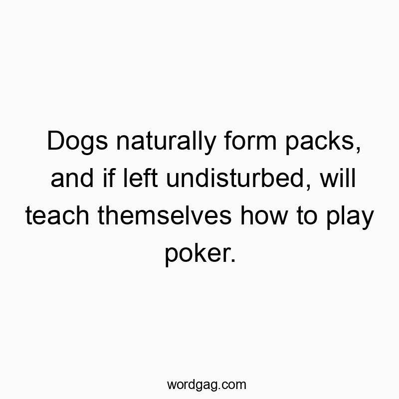 Dogs naturally form packs, and if left undisturbed, will teach themselves how to play poker.