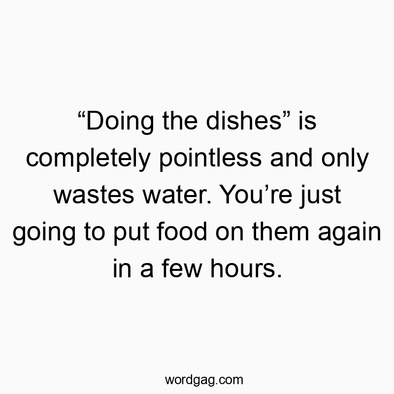βDoing the dishesβ is completely pointless and only wastes water. Youβre just going to put food on them again in a few hours.