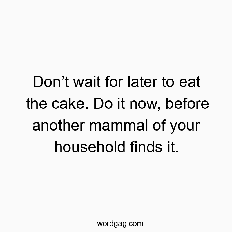 Donโt wait for later to eat the cake. Do it now, before another mammal of your household finds it.