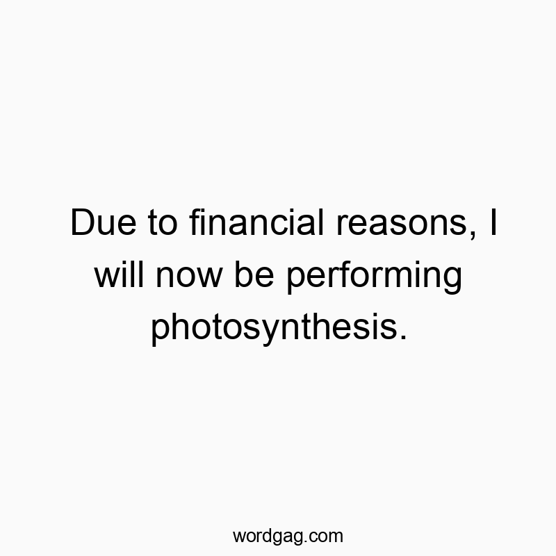 Due to financial reasons, I will now be performing photosynthesis.