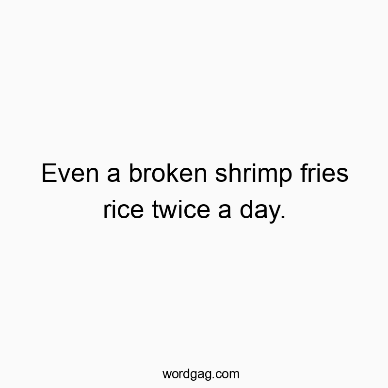 541 Funny day quotes - Even a broken shrimp fries rice twice a day.