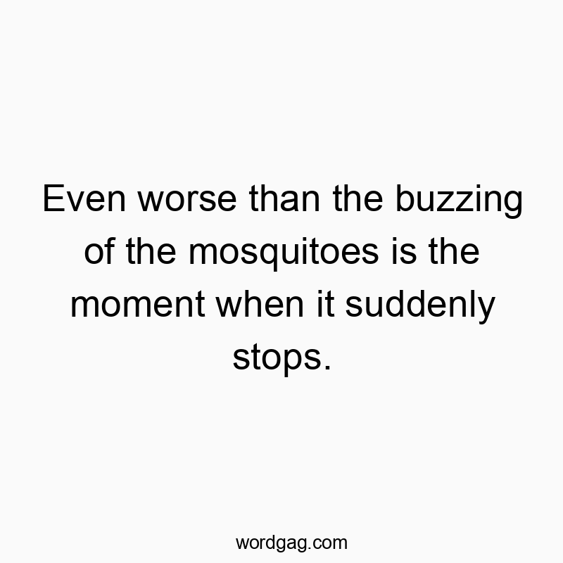 Even worse than the buzzing of the mosquitoes is the moment when it suddenly stops.