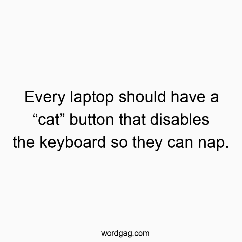 Funny nap quotes - Every laptop should have a “cat” button that disables the keyboard so they can nap.