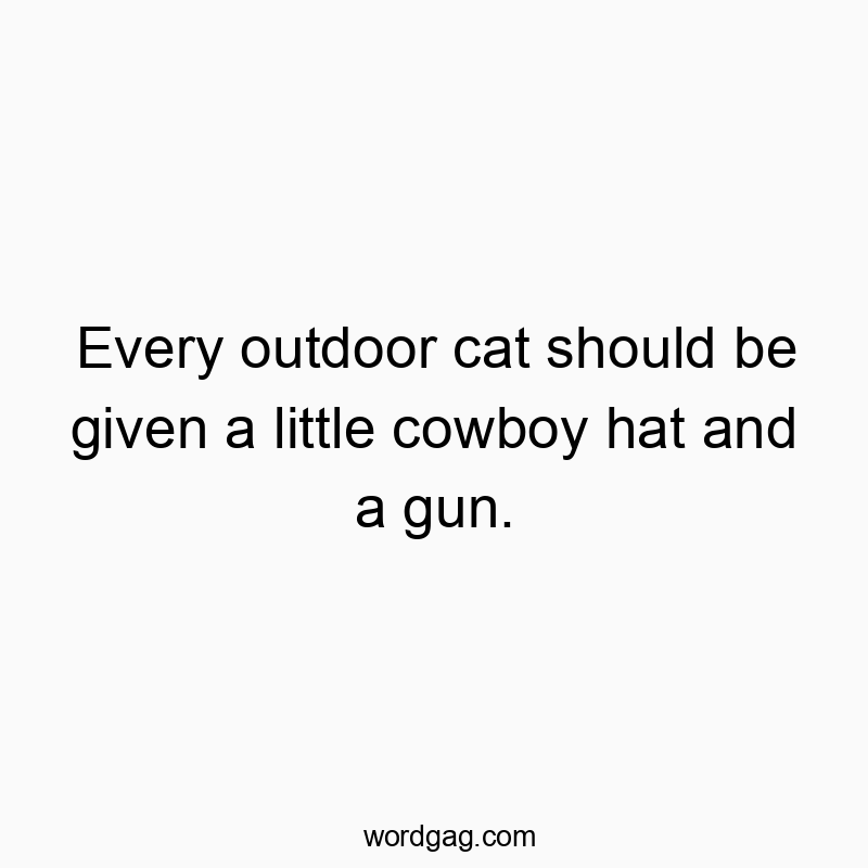 Every outdoor cat should be given a little cowboy hat and a gun.