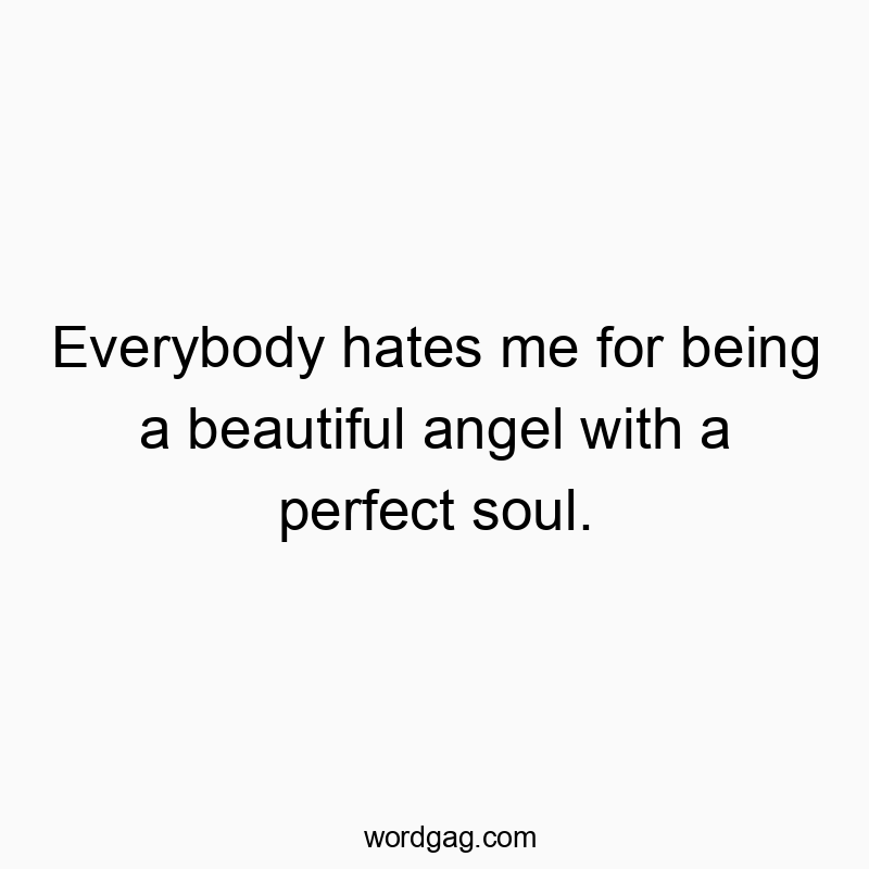 Everybody hates me for being a beautiful angel with a perfect soul.