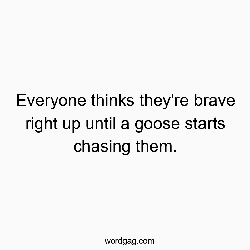 Funny goose quotes - Everyone thinks they’re brave right up until a goose…