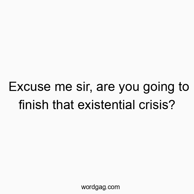 Excuse me sir, are you going to finish that existential crisis?