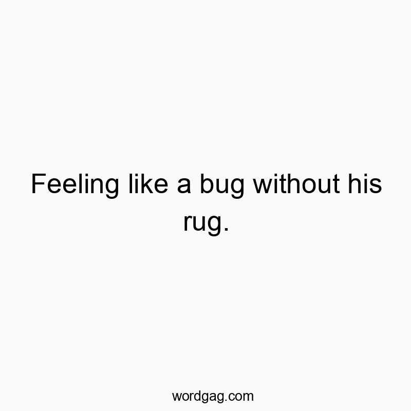 Feeling like a bug without his rug.