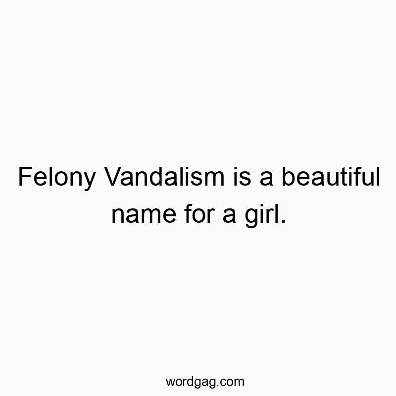 Felony Vandalism is a beautiful name for a girl.