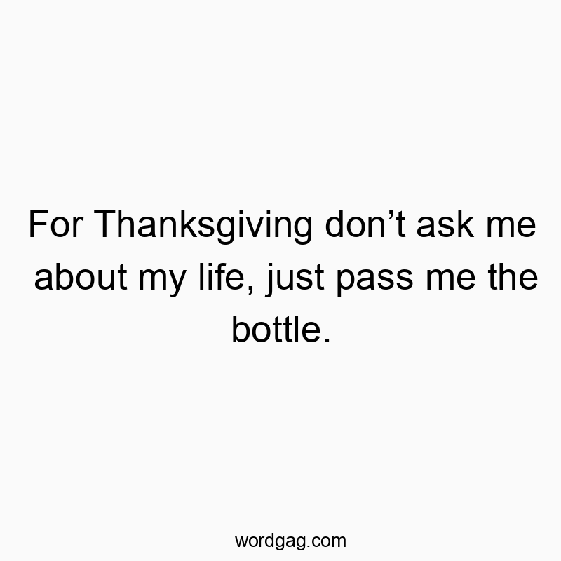 For Thanksgiving donโt ask me about my life, just pass me the bottle.