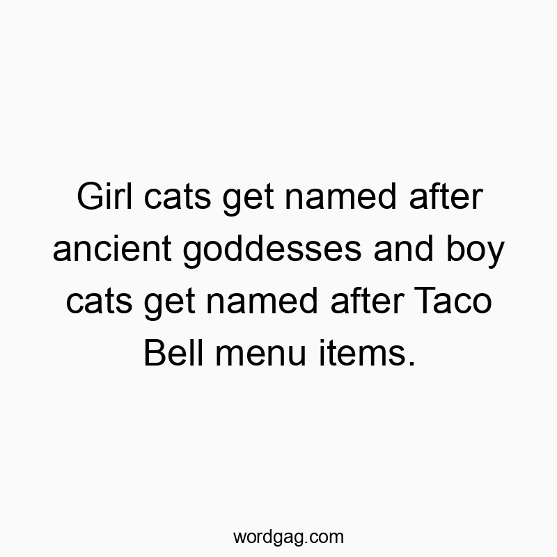 Girl cats get named after ancient goddesses and boy cats get named after Taco Bell menu items.