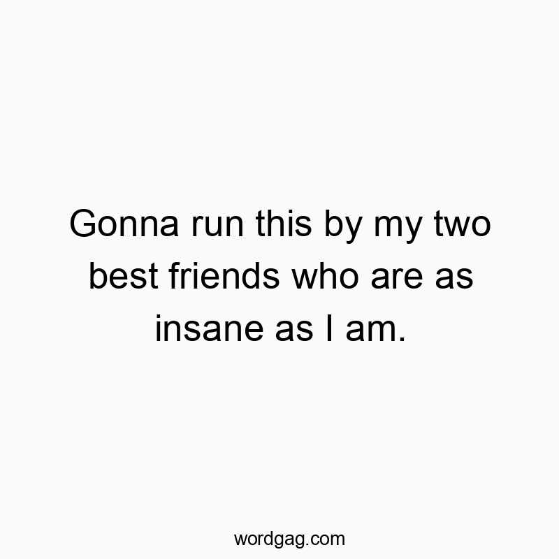 Gonna run this by my two best friends who are as insane as I am.