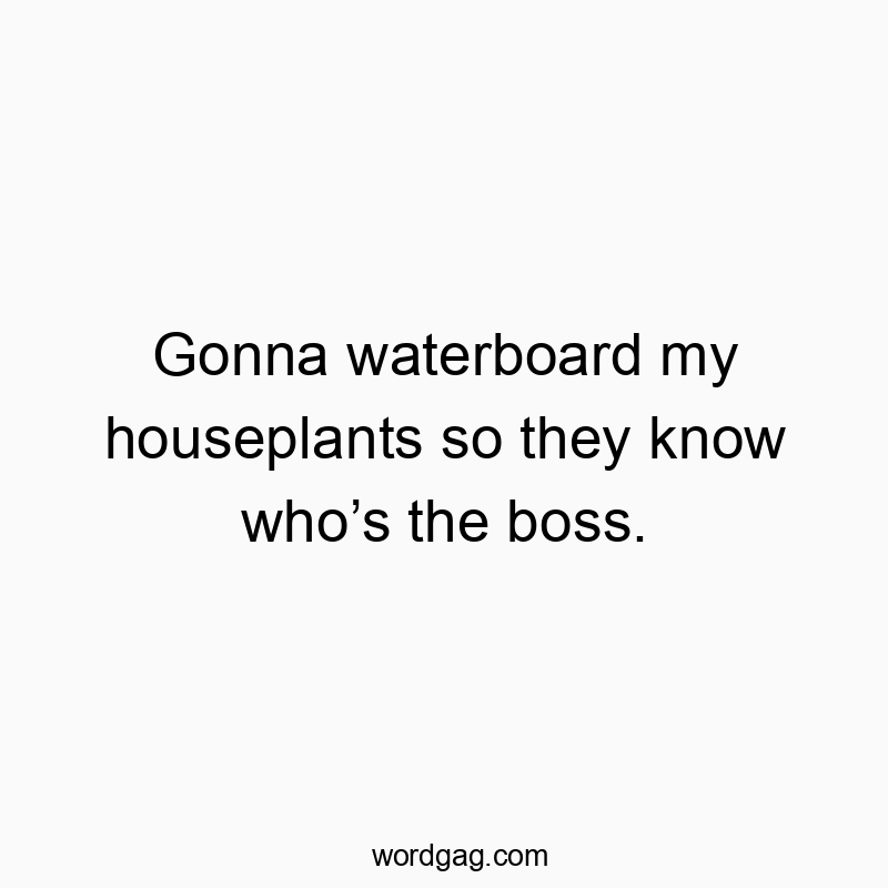Gonna waterboard my houseplants so they know who’s the boss.