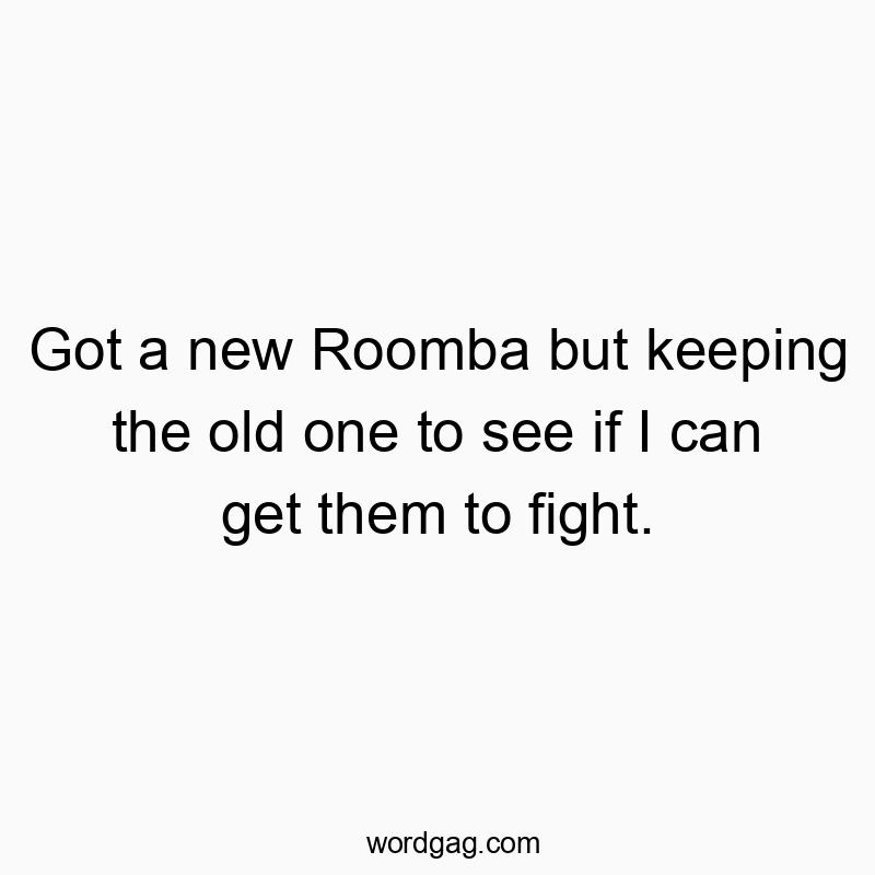 Got a new Roomba but keeping the old one to see if I can get them to fight.