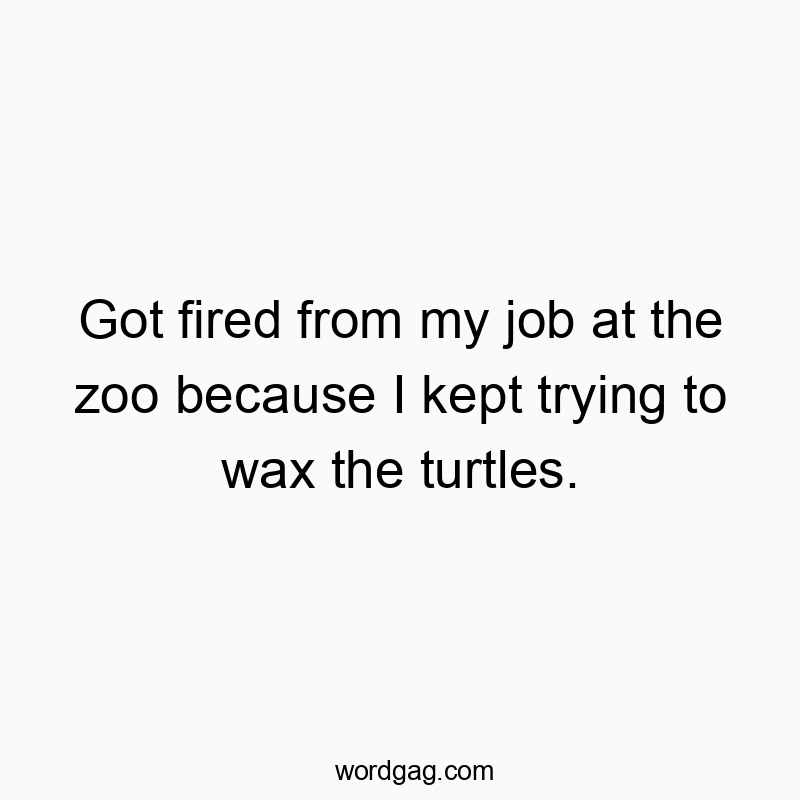 Got fired from my job at the zoo because I kept trying to wax the turtles.