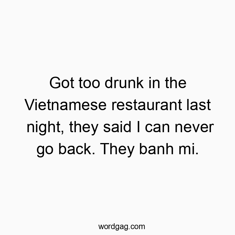 Got too drunk in the Vietnamese restaurant last night, they said I can never go back. They banh mi.