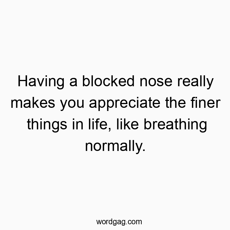 229 Funny things quotes - Having a blocked nose really makes you appreciate the finer…