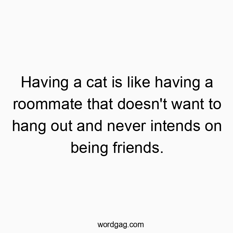 Having a cat is like having a roommate that doesn’t want to hang out and never intends on being friends.