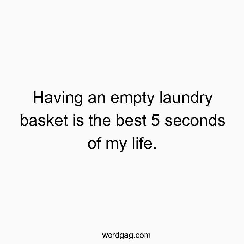 Having an empty laundry basket is the best 5 seconds of my life.