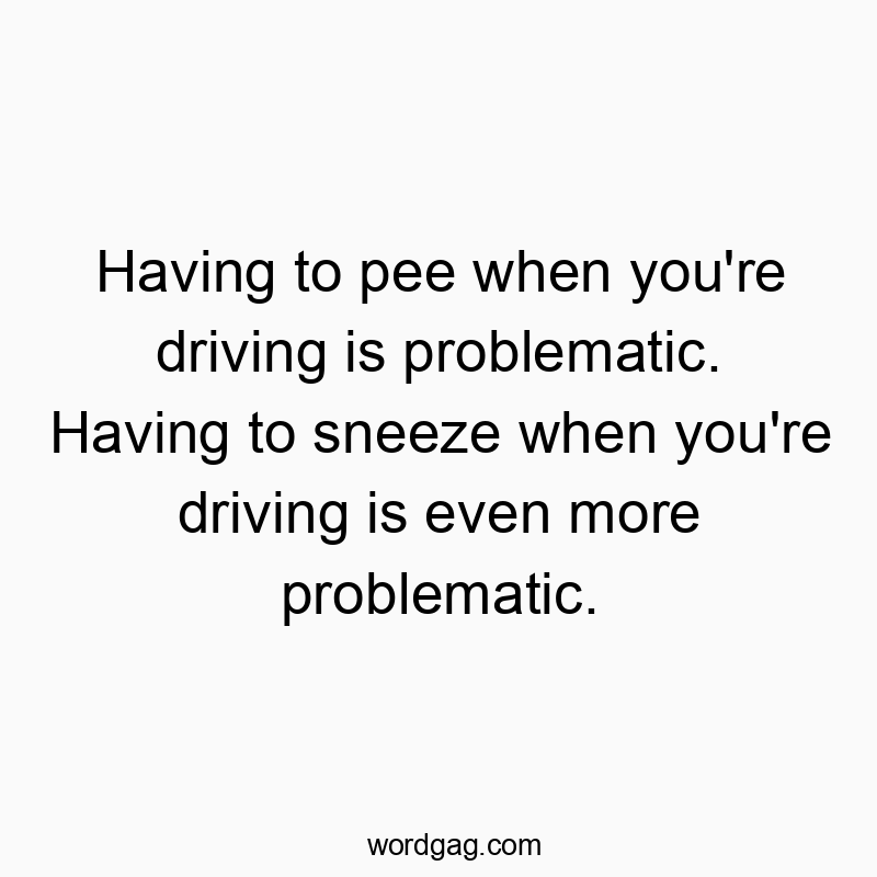 Having to pee when you’re driving is problematic. Having to sneeze when you’re driving is even more problematic.