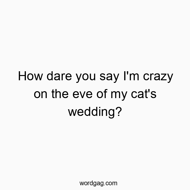 How dare you say I’m crazy on the eve of my cat’s wedding?